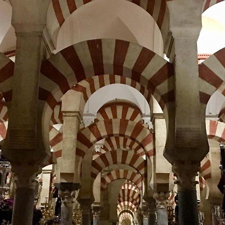 コルドバRibera Del Quivirアパートメント エクステリア 写真